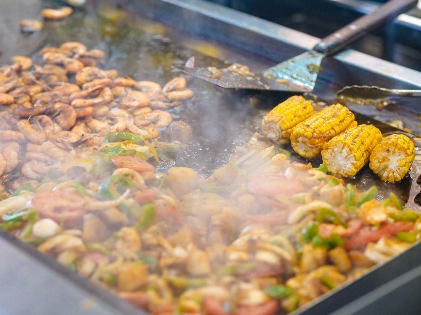 outdoor griddles buying guide
